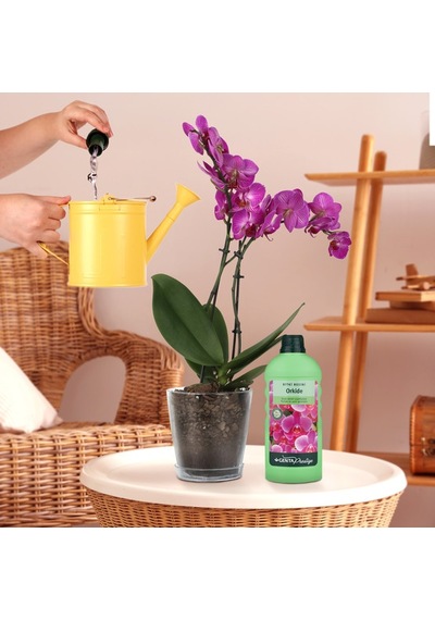 Genta Prestige Orkideler İçin Sıvı Besin Diğer