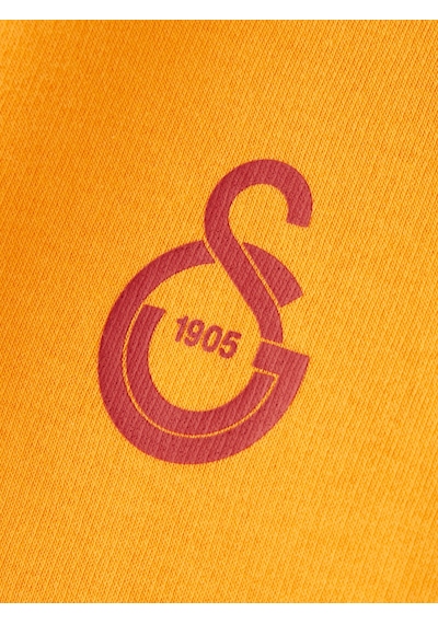 Gsstore Galatasaray Puma Kapüşonlu Sweatshirt 78290806 Sarı