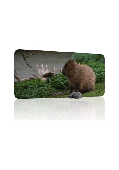 Capybara Kaymaz Dikişli Kauçuk Oyuncu Mousepad V5 - 90x40 Xxl Gaming Mouse Pad Fare Altlığı