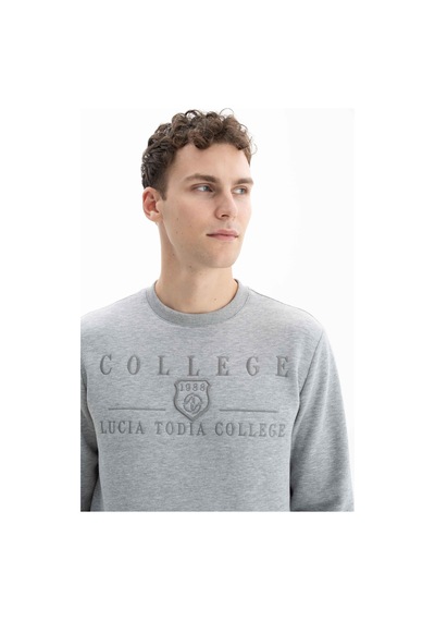 AR-MA Arma Erkek Baskılı 3 İplik Şardonlu Regular Fit Bisiklet Yaka Sweatshirt K26124600801 Gri AR-MA Arma Erkek Baskılı 3 İplik Şardonlu Regular Fit Bisiklet Yaka Sweatshirt K26124600801 Gri