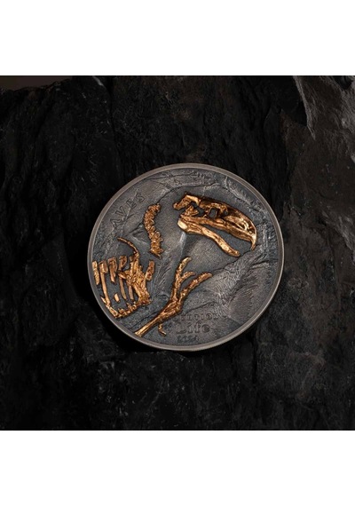 Agakulche Nimravidae Evrimi 2024 1 Ons Gümüş Sikke Coin