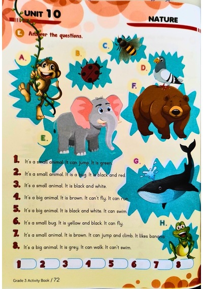 3. Sınıf İngilizce Eğitim Seti Fun & Learn