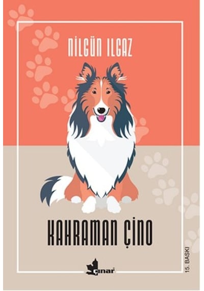 Kahraman Çino - Nilgün Ilgaz - Çınar Yayınları