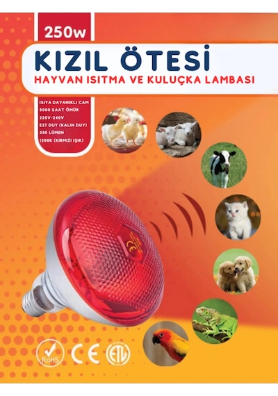 6 Adet 250w Kızılötesi Isıtıcılı Hayvan Isıtma Ve Kuluçka Lambası Kırmızı Işık E27 Kalın Duy Diğer