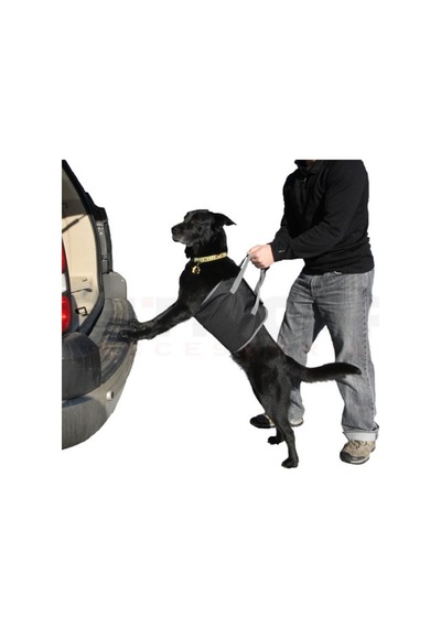 Carmind Araç Arkası Köpek Koyma Aparatı