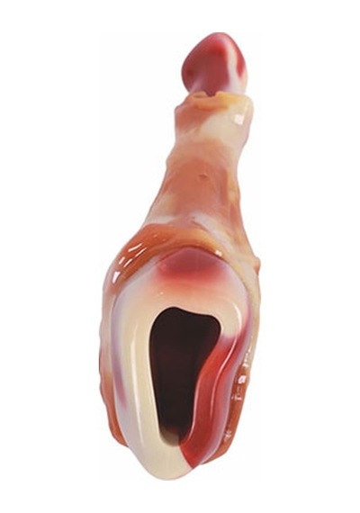 M-pets Carnivore But Şeklinde Pastırma Aromalı Kemik Köpek Oyuncağı 12,4x6,1x3,5 Cm 244-50127.01