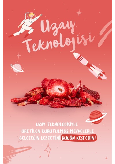 Drynex Freeze Dried Çilek Dondurularak Kurutulmuş Çıtır Atıştırmalık Meyve Cipsi Şekersiz Katkısız Vegan 20 G