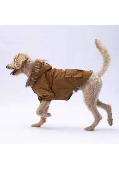 Camel Charles Büyük Irk Köpek Mont Köpek Yağmurluk Köpek Kıyafeti Köpek Elbisesi