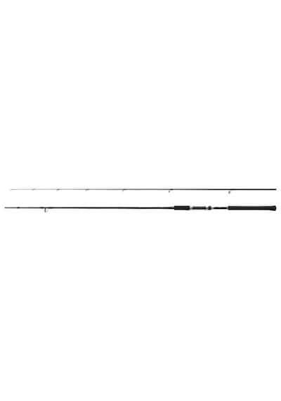 Shimano Salty Advance Spinning 2,90m 9'6'' 60g JIG80gr