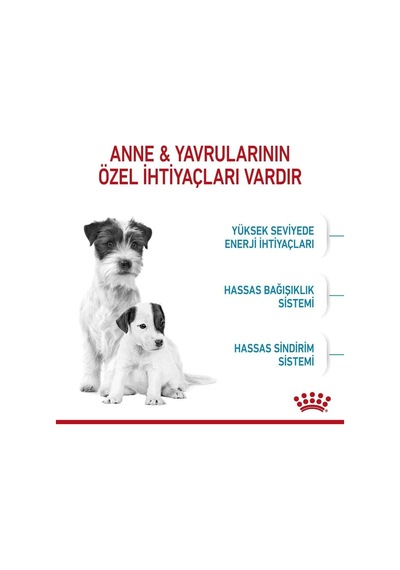 Tr Mini Starter Yavru Köpek Maması, 4 Kg