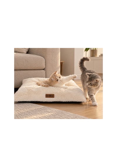 Kedi Ve Köpek Peluş Yer Minderi Üst Kalite Yıkanabilir Kılıflı Fermuarlı Boncuk Elyaf Kaydırmaz Taban Kedi Ve Köpek Yatağı Beyaz 1716914258
