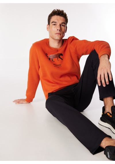 Discovery Expedition Koyu Turuncu Erkek Bisiklet Relaxed Baskılı Sweatshirt D4wm-swt3247 Discovery Expedition Koyu Turuncu Erkek Bisiklet Relaxed Baskılı Sweatshirt D4wm-swt3247