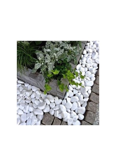 Beyaz Dolomit Taş 15 Kg 4-6 Cm Dekoratif Taş Bahçe Süs Taşı