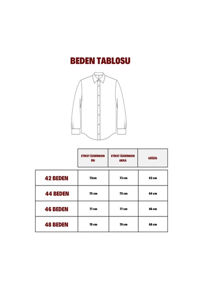 Pera Moda Büyük Beden İpek Saten Klasik Gömlek Beyaz