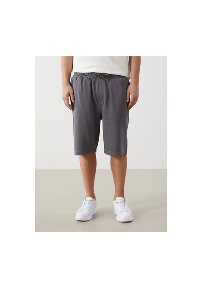 Lc Waikiki Xsıde Rahat Kalıp Erkek Bermuda Şort Dark Grey