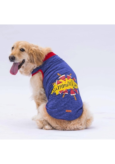 Pawstar Lacivert Summer Time Büyük Köpek Tişörtü Köpek Kıyafeti