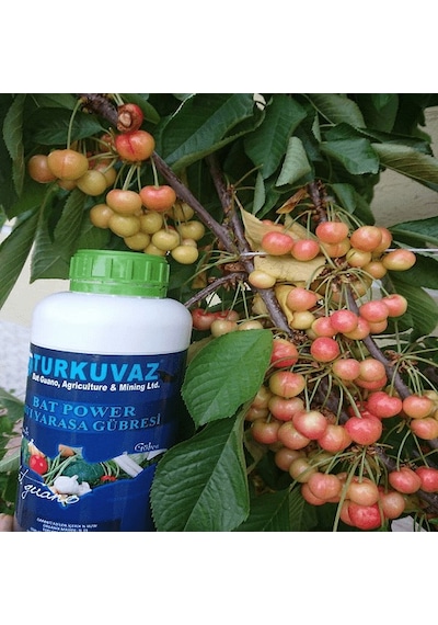 5 L Turkuvaz Bat Power Organik Sıvı Yarasa Gübresi