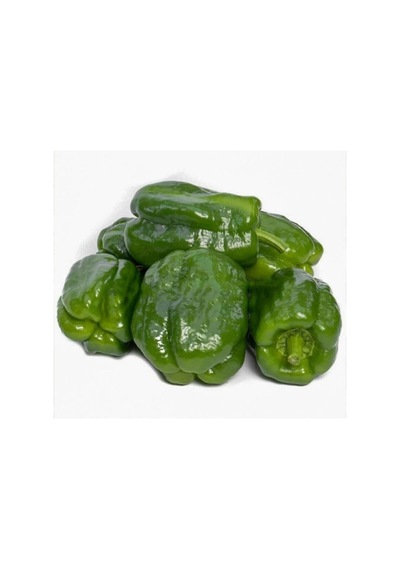Antep Acı Dolmalık Biber Tohumu - 5 Gram