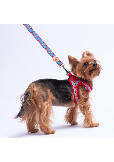 Mushroom Leash Mantar Desenli Kedi Köpek Sevk & Gezdirme Kayışı Köpek Uzatma Tasması-1,5cm Kırmızı