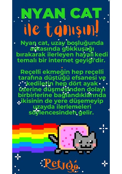 Petjoo 2.Nyan Cat Turuncu-Yeşil Qr'lı Kedi Künyesi