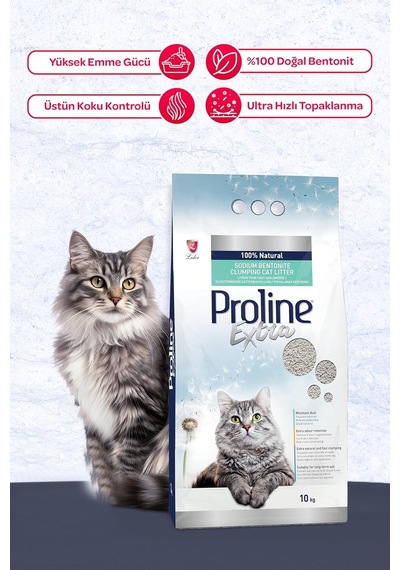 Extra Sodıum Bentonite Gri Bentonit Topaklaşan Kedi Kumu 10 L 3 Paketi