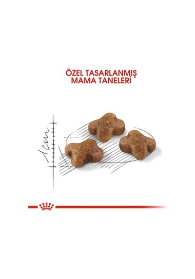 Kitten Yavru Kedi Maması - 10 Kg
