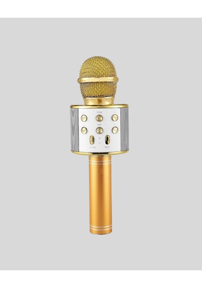 Bluetooth Karaoke Mikrofon Şarjlı Uzun Pil Ömürlü Çok Fonksiyonlu - Lisinya