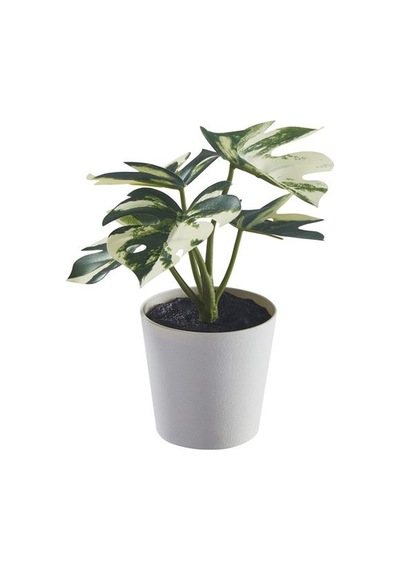 Ikea Fejka Saksılı Yapay Bitki, Yeşil, 6 Cm, Monstera