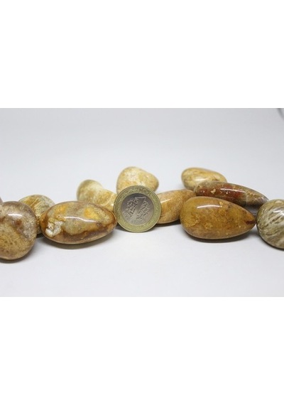 Tibet Akik Taşı ( 20-29 Gram)