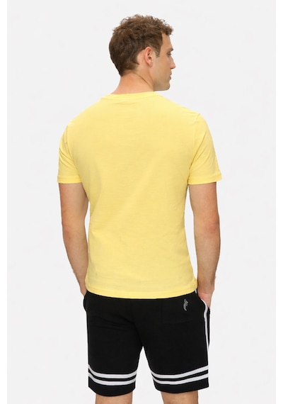 Ucla Bass Sarı Bisiklet Yaka Baskılı Pamuk Standard Fit Erkek Tshirt Sari 2XL