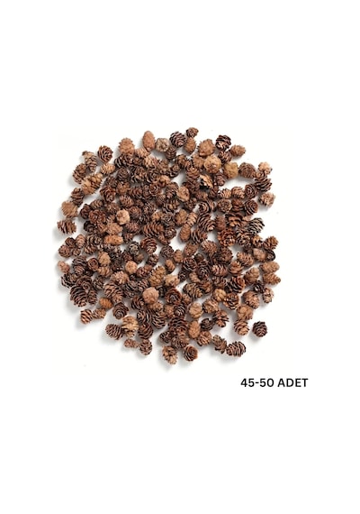 Doğal Kurutulmuş Çam Kozalak Seti-75 Gr, Hobi Ve Yılbaşı Süsü, Hediye Paketleme, 45-50 Adet - 2-3 Cm