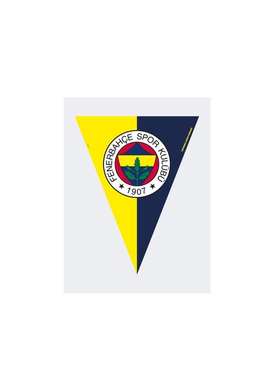 Fenerbahçe Sk Bayrak Set 2,90m