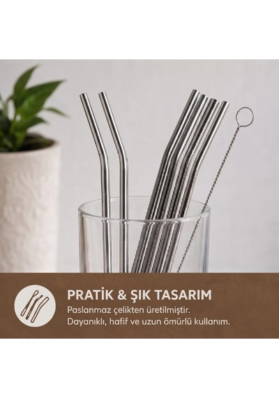 Paslanmaz Çelik Ekolojik Şık 6'lı Kaşıklı Pipet Bardak Tamamlayıcısı Sofra Takımı Sunum Detayı Çok Renkli