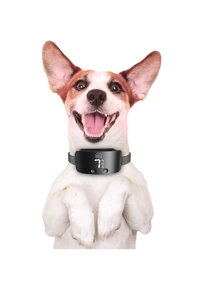 Doggie Ayarlanabilir Havlama Önleyici Eğitim Tasması Siyah M Siyah