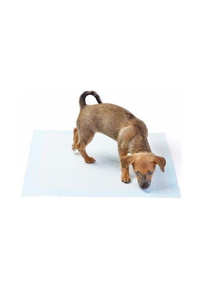 Yıkanabilir Köpek Çiş Pedi - 100 X 100 Cm