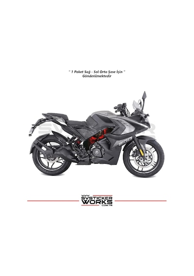 Bajaj Pulsar Rs200 Orta Şase Kaplama Punisher Desen Sticker Diğer