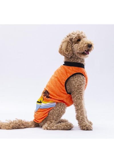 Turuncu Sunrise Büyük Köpek Tişörtü - Köpek Kıyafeti 15 Kg-45 Kg