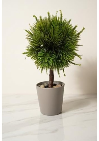 Modern Top Formlu Yapay Çam Bonsai, Taş Dolgulu Gri Saksıda Mini Ağaç, Çalışma Masası Ve Raf Dekorasyonu 50 x 22