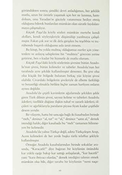 Küçük Paşa Günümüz Türkçesiyle
