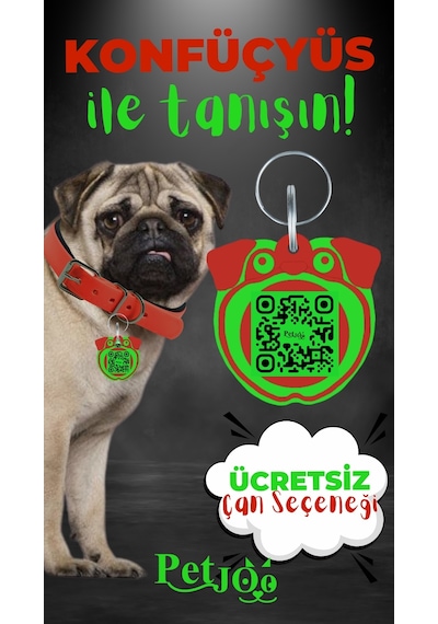 Petjoo 9.Konfüçyüs Yeşil-Kırmızı Qr'lı Köpek Künyesi