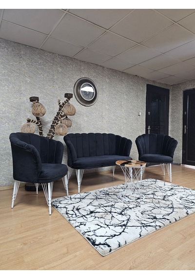Zafir Beyaz Boyalı Tel Ayak Papatya Çay Seti Koltuk Takımı , Balkon, Salon, Ofis, Cafe Koltuk Takımı Siyah Zafir Beyaz Boyalı Tel Ayak Papatya Çay Seti Koltuk Takımı , Balkon, Salon, Ofis, Cafe Koltuk Takımı Siyah