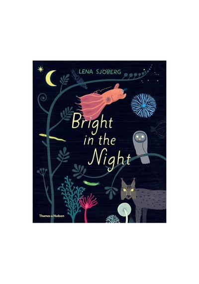 Bright In The Night
