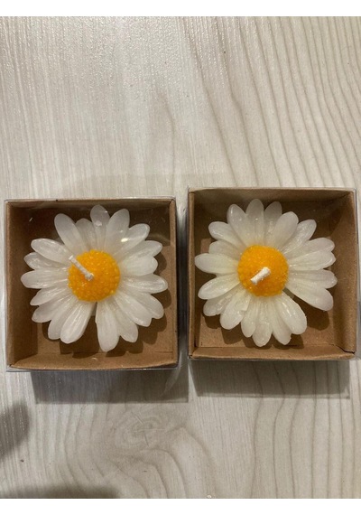 Bernami Mum Pinterest 15 Adet Kraft Kutulu Papatya Mum Hediyelik, Nişan, Düğün, Sünnet, Söz, Kına, Doğum Günü Diğer