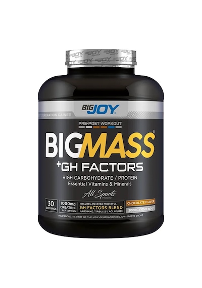 Bigjoy BIGMASS Gainer GH FACTORS 3000g  Çikolata