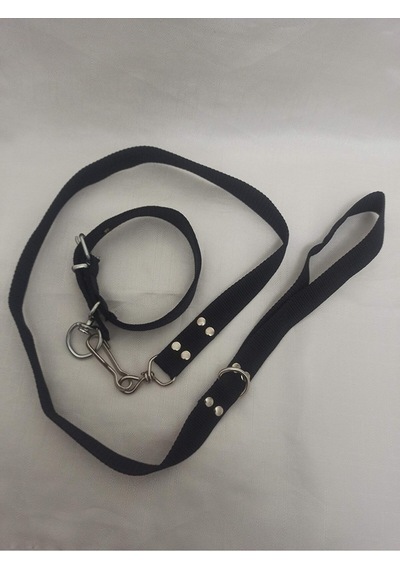 Köpek Tasması Gezdirme Ipi Takım Siyah