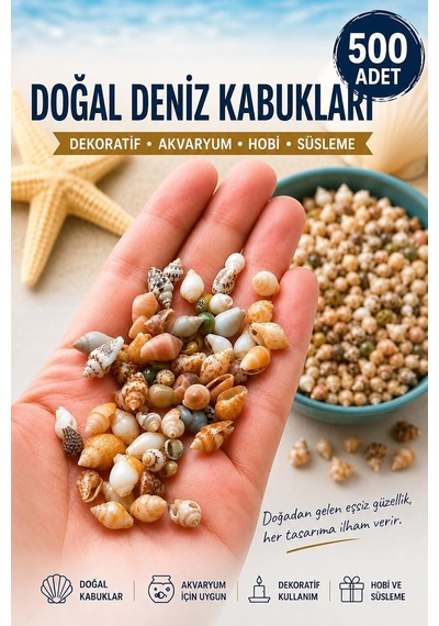 Flea Market 500 Adet Natural Minik Akvaryum Deniz Kabuğu Nassa Shell Karışık Minyatür Deniz Kab