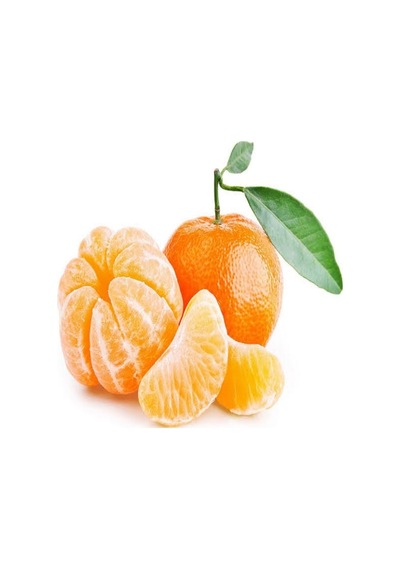 Tüplü Çekirdeksiz Ovari Mandalina Fidanı