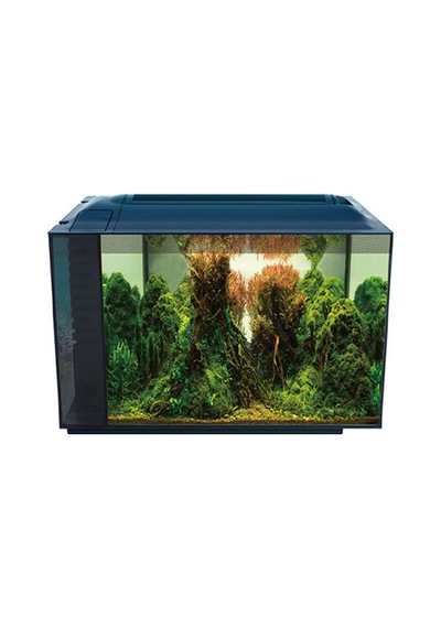 Anubias Corydoras 55 Nano Akvaryum Siyah 55,5x29,5x32 Cm 281-59000.01