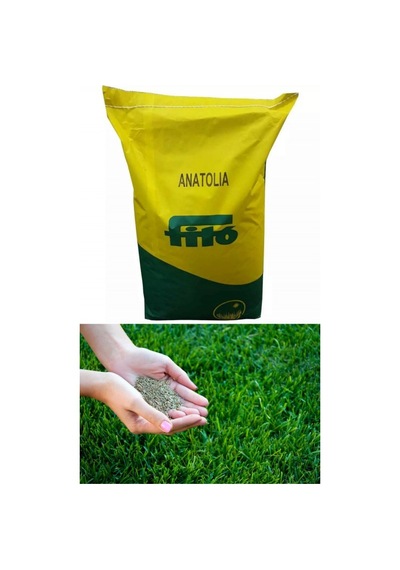 Çim Tohumu Lolium 1000 Gr Fito Anatolia 6 Karışım