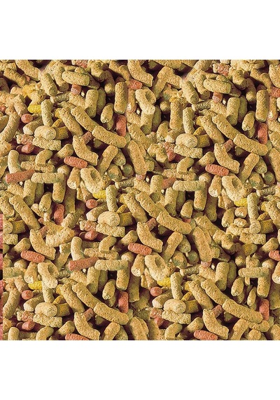 Sera Raffy P Kaplumbağa Yemi 1000 Ml 250 Gr